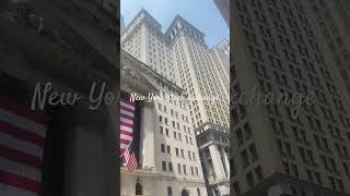 NewYork stock exchange NYSENYSEStockMarketTradingInvestingFinanceWallStreetStocksNYSE [upl. by Edahc]