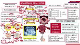 Causas de Hemorragia en el Embarazo [upl. by Tivad]