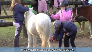 SPECIALE BIMBI A CAVALLO A GORIZIA [upl. by Sherris]