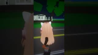 stupider roblox funny [upl. by Dlonyer]