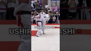 USHIRO MAWASHI GERI eremenkodojo kyokushin iko top like лайки подпишись ko videoeremenko [upl. by Okram920]