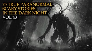 75 True Paranormal Stories  Scary Stories in The Dark Night Vol 43 [upl. by Chapland9]