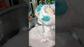 ASMR  Dish soap and carbolic  Sponge Squeezing [upl. by Suoirrad]