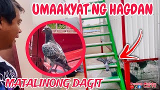 EP641  ANG TINDE NG BAGUNG DAGIT MAY TALENT [upl. by Enyad463]