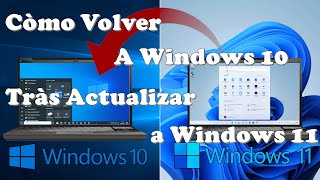 como volver a windows 10 desde windows 11 Mejor Explicaciòn [upl. by Janela]