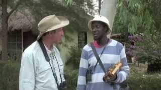 Birding in The Gambia with Dave Gosney at Footsteps EcoLodge [upl. by Atalanti]