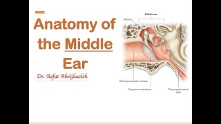 Anatomy of Middle Ear [upl. by Casandra551]