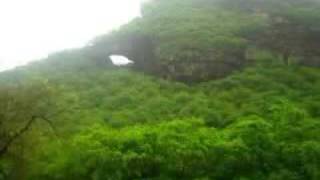 Natural Forests of Arabia Yemen اليمن [upl. by Aniteb]