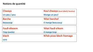 Module 2 leçon tunisien 1  Adverbes [upl. by Verlie]