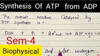 synthesis of ATP from ADP  semester4  Bioenergetics  Msc chemistry notes [upl. by Gilboa]