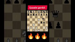 Quaade gambit chess youtubeshorts chesstalkbangla [upl. by Billen]