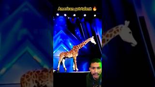 Americas Got Talent Giraffe 🦒 Magic 😱  Duo SchumacherAGTamericagottalentmagic [upl. by Eilram395]