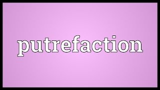 Putrefaction Meaning [upl. by Neenahs]