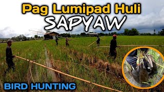 Panghuhuli ng ibon sa Palayan  Bird Hunting  LifeMoto BuhayBukid [upl. by Conrad857]