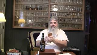 Beer Review  234 Harboe Bear Beer [upl. by Nyladgam]