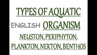 Aquatic Organisms Type  Neuston Periphyton Planktons Nekton Benthos In Eng [upl. by Ashti]