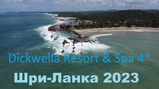 Шри Ланка май 2023 Dickwella Resort [upl. by Jarin]