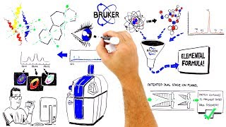 Bruker’s scimaX  Taking science to the max [upl. by Ijneb]