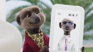 Compare the Meerkat  Advert 106 [upl. by Adigirb]