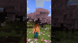 minecraft filtre abonnetoi [upl. by Judson938]