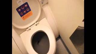 How to use the Airbus A 380800 Latrine [upl. by Glennie699]