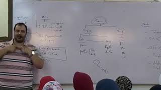 quot Neuro quot revisionquot  Dr Allam 2019  Lec 3 pt 4 [upl. by Amisoc]