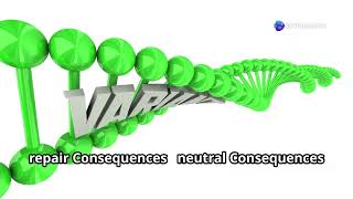 Mutation and Their Types pointmutation frameshiftmutation chromosomalmutation [upl. by Helsa]