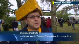 Conker World Championship 2013 British sport of conkerfighting is a schoolboy classic [upl. by Wilser]