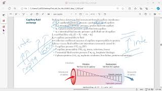 hydrostatic and oncotic pressures [upl. by Orme]