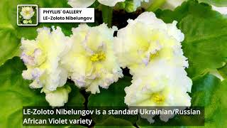 African Violet  LEZoloto Nibelungov [upl. by Ecidnac2]