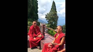 Kagyu Thekchen Ling Monastery nature monestry monk buddha travel shorts viralshort [upl. by Hardy398]