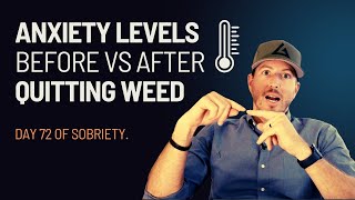 Anxiety levels before vs after quitting weed  day 73 of sobriety journal after 20 years of use [upl. by Trakas]