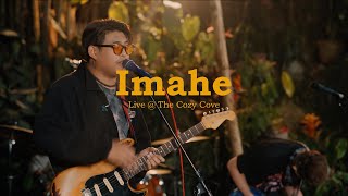 Imahe Live at The Cozy Cove  Magnus Haven [upl. by Sadnac134]