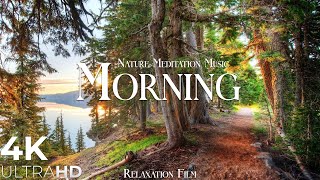 Morning Nature  Relaxation Film  Peaceful Relaxing Music  4k Video UltraHD [upl. by Weiss781]