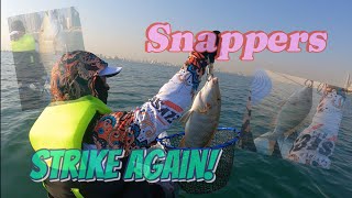 Snapper Season is here  Kayak fishing  DuoKayak [upl. by Enoek917]