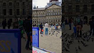 Dam Square Amsterdam Netherlands 🇳🇱 netherlands amsterdam shorts [upl. by Nedda]