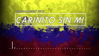 CARIÑITO SIN MI  Dj Gabo de Moreno FT Pastor Lopez  CUMBIAS REMIX 2019 [upl. by Yrakcaz556]