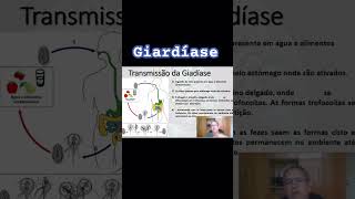 Giardíase biology biologia enem bio curiosidades shortvideo revisãoenem shortsvideo enem24 [upl. by Enar]