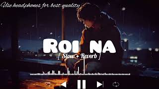 Roi Na Lofi song  SlowedReverb   ninja ‎LOFIMusic0304 [upl. by Truelove]