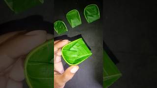 🌿आम के पत्ते का सूप कैसे बनाये 🌅 Mango Leaf Craft  Mango Leaf Toran  ☀️🪔🙏🍃 [upl. by Idelson]