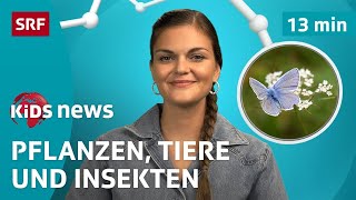 SRF Kids News Biodiversität – Einblick in die Schweizer Natur  Kindervideos [upl. by Mathian976]