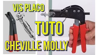 Comment utiliser une pince Molly pour fixer une cheville métallique sur du placo  Vis à placo tuto [upl. by Walls]