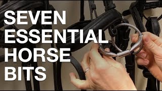 Seven Essential Horse Bits [upl. by Llertac109]