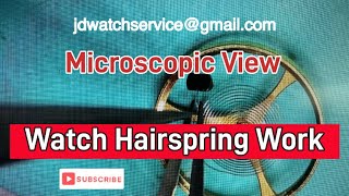 Micro Watch Hairspring Work [upl. by Aiykan]