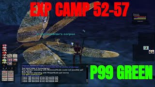 Experience guide level 5257  P99 Everquest Project 1999 green  Good exp and loot camp Necro Lvl57 [upl. by Einomrah49]