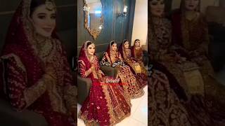 4 Beti Or Nikah Betiyan Beautiful shortvideo beautiful hasbend waif [upl. by Ettelloc173]