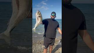 Surfcasting sicily surfcasting fisherman fishing fish fishingvideo fishinglife [upl. by Nedloh99]