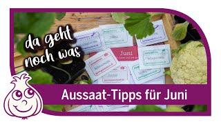 Letzte wichtige Aussaaten im Juni  Aussaattipps [upl. by Godderd]