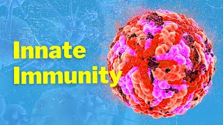 The Cells of Innate Immunity and Mechanism [upl. by Eiralc]