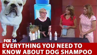 Everything you need to know about dog shampoo [upl. by Leighton]